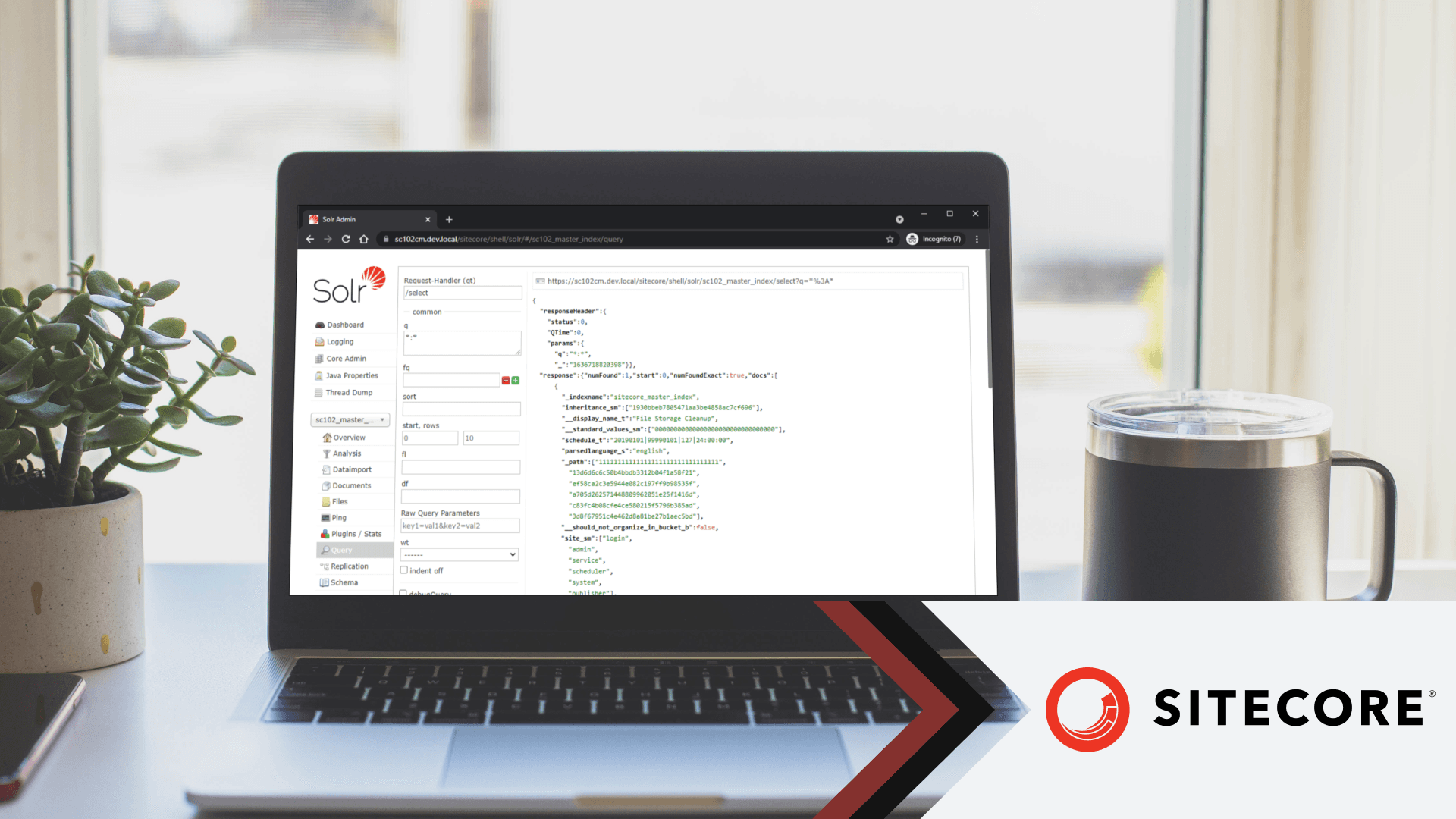 Cover Image for Sitecore Solr Proxy Console: Update to Sitecore 10 Version