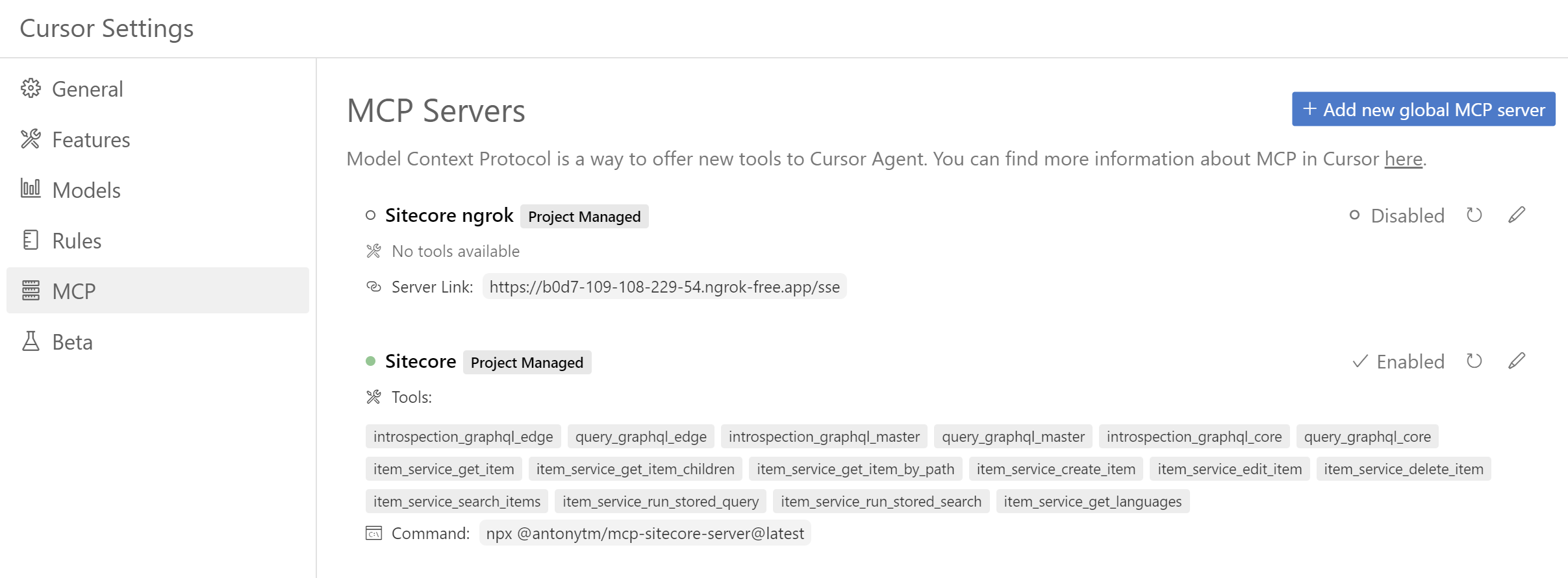 Add MCP Server